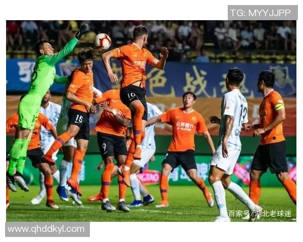 杭州篮球队状态火热领跑最新TOP10榜单分析与展望